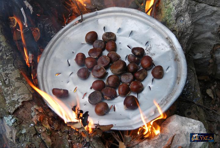 castagne arrosto.JPG